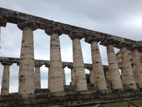 didoofcarthage: Temple of Athena (traditionally Ceres) at Paestum  Paestum was part of the regi