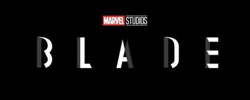 melaninondeck: superheroesincolor: “Just announced in Hall H at #SDCC, Marvel Studios’ B