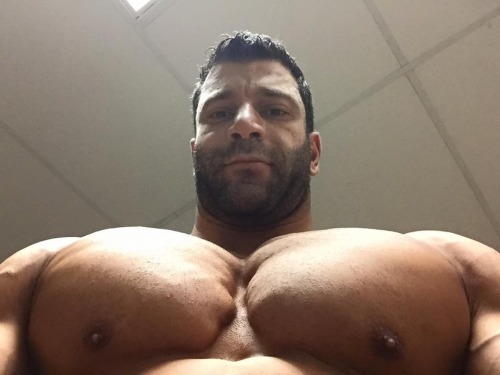 huge pecs