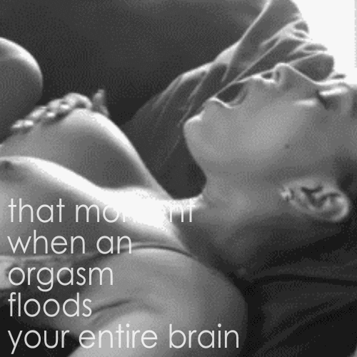 the-wet-confessions:  that moment when an orgasm floods your entire brain 