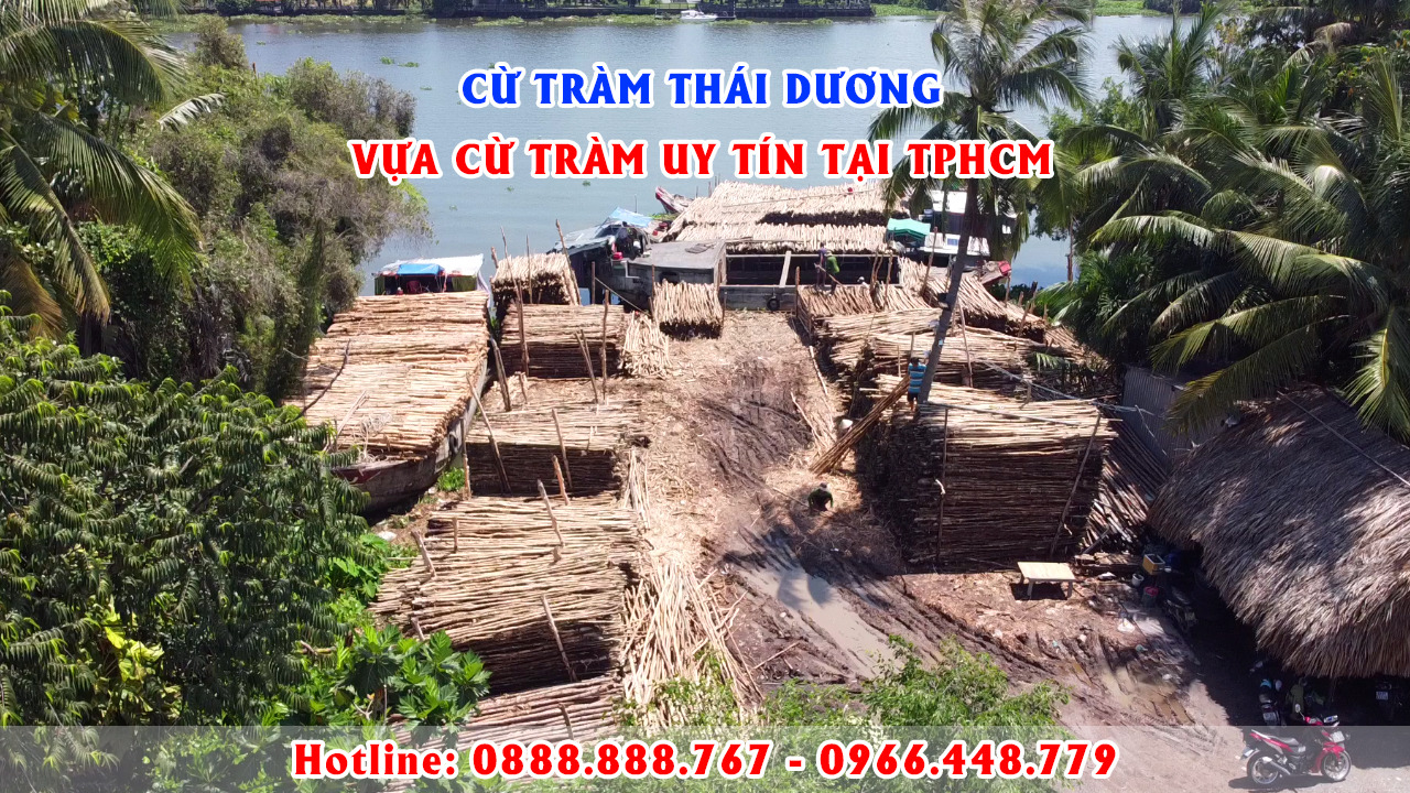 Vua Cõng Phật: Khám Phá Tượng Phật Độc Đáo Tại Chùa Hòe Nhai