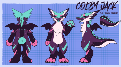 My fursuit ref for my second fursona Colby Jack