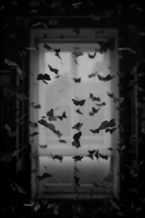 rememberless: Photo by Shot by Cerqueira on Unsplash