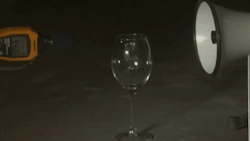 gif87a-com:  Megaphone shattering a wine glass 