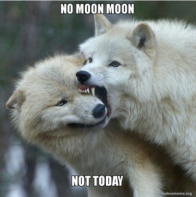 silvergryphon:tokenofmydevotion:feral-flower-child:feral-flower-child:feral-flower-child:callingallcars:callingallcars:everyone’s debating posts of the decade, best and worst, and i have yet to see anyone mention moon moonfor those who were not on here