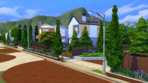 Karli: When we first moved to Evergreen Harbor, I never envisioned this. You&rsquo;ve done a won