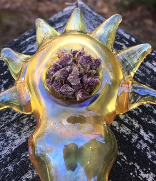 bluntburningprincess:  Mendocino Purple in my Sun pipe 😈☀️ and yes, it really is this purple.