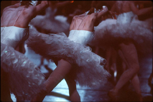 aurelie-dupont:Paris Opera corps de ballet in Nureyev’s Swan Lake Photo © Gueor