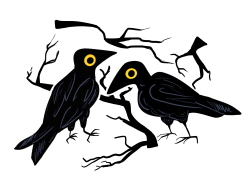 wirtish:crows are neat