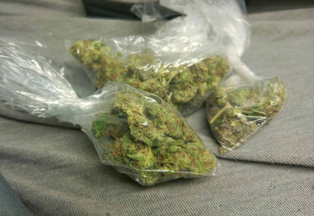 weed-breath:  Bags on bags of dank 