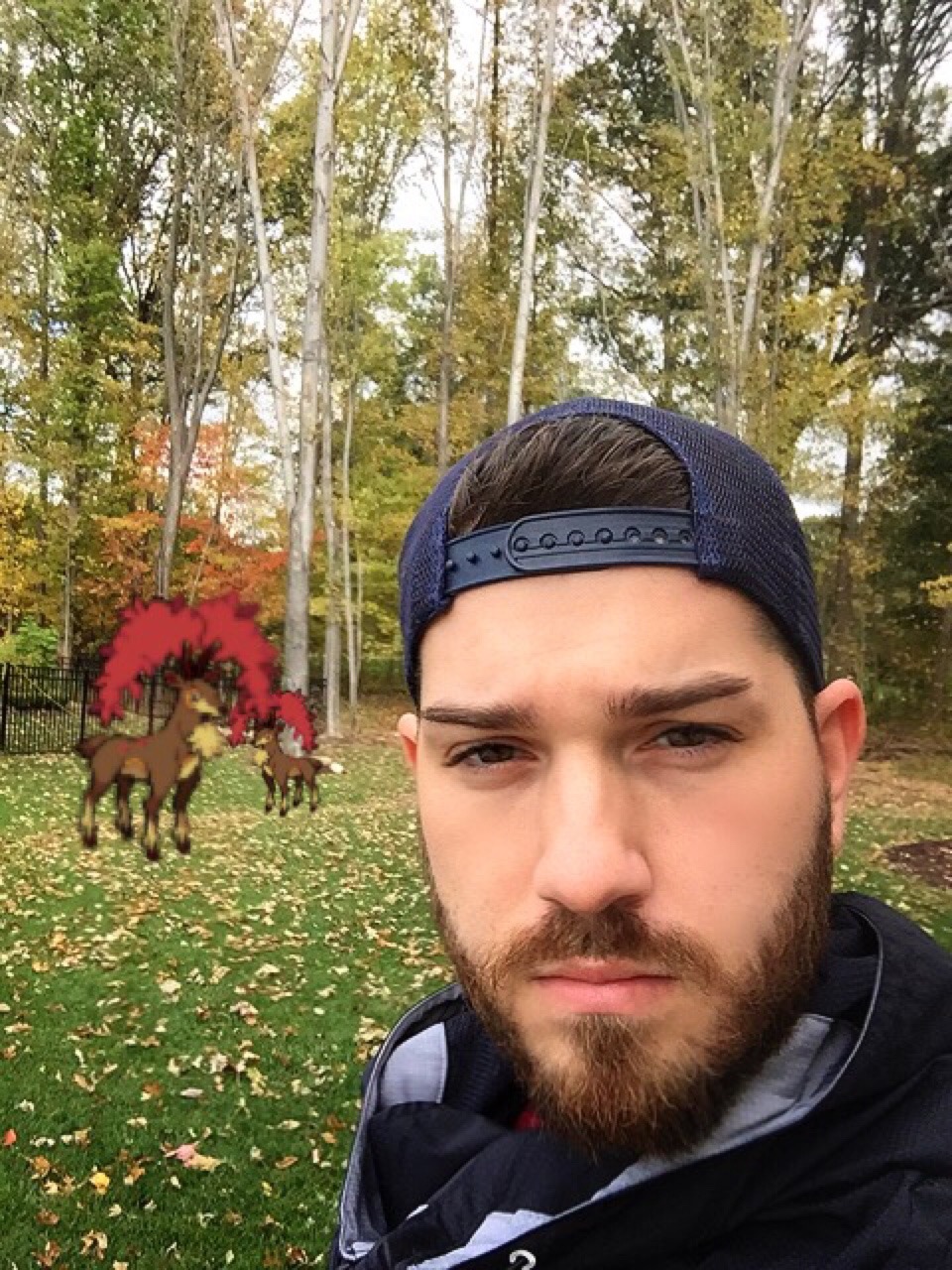 puff-to-tuff:  The Sawsbuck are already changing colors!