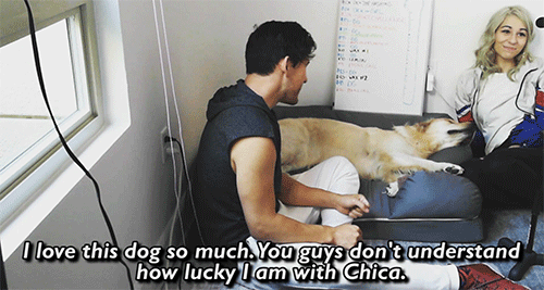 dogiplier:  shut up im weeping  IM SO LUCKY
