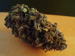 Stay Lifted