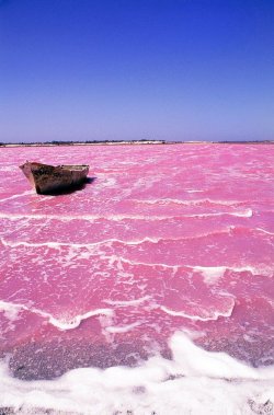 jeflondon:  Lake Retba, Senegal  