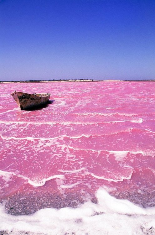 noplastic:  Lake Retba, Senegal   porn pictures