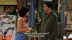 harshlips:Friends (1994-2004)