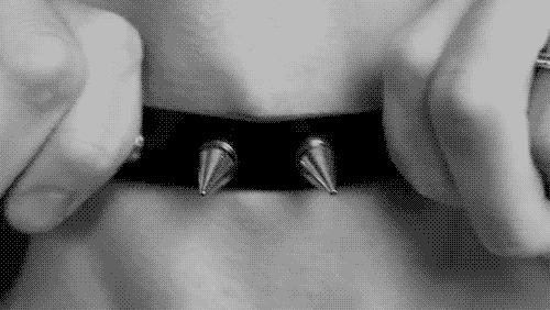 little-dark-corner: Wear it with pride cunt.