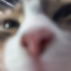 okimasnacc