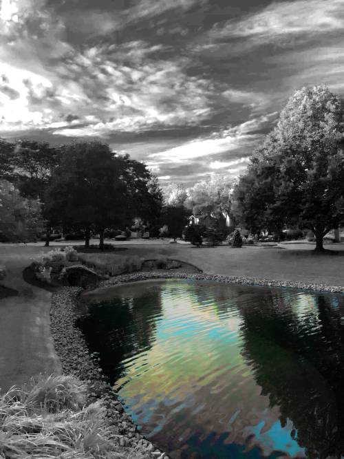 Reversed Reflections, Chicago IL