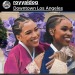 honeycoacoa-deactivated20201029:afrodesiacworldwide:I deadass thought the first pic
