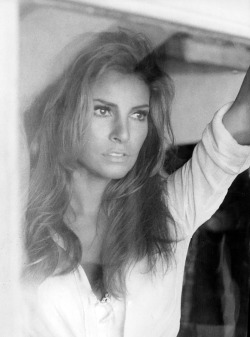 fuckyeahraquelwelch:  Raquel Welch