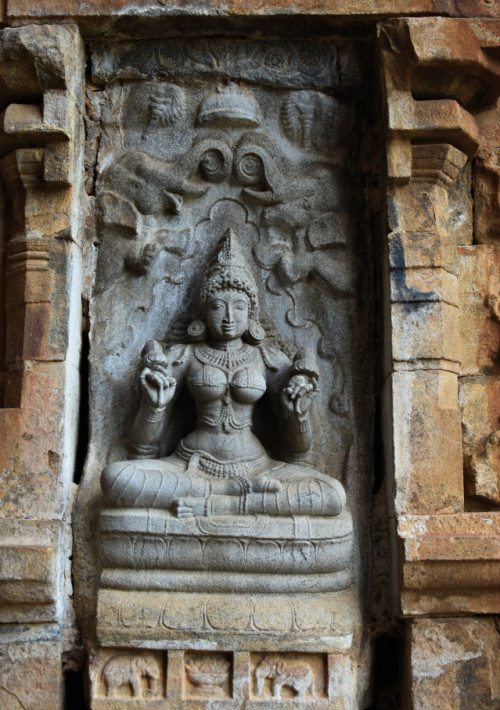 Gajalakshmi, Gangaicondacholapuram temple, Tamil Nadu, photo by AMJSHOTS