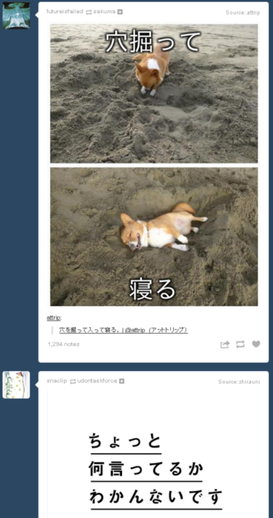 k32ru:  (10) Tumblr 