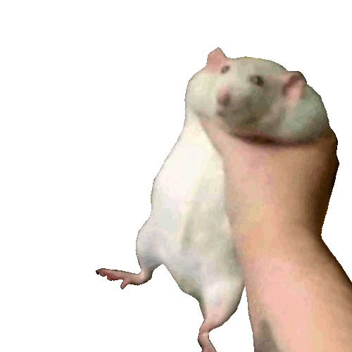 I Have Come Ti Annoy U