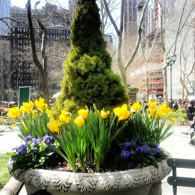 #Spring #NYC (at Bryant Park)