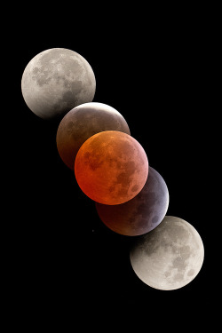 0rient-express:  Blood red moon | by Levin Dieterle | Website. 