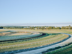 lpatrickphotos:Rosehill, NSW