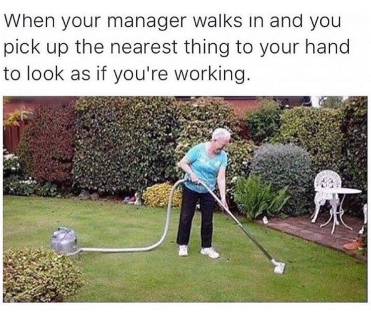 The Best of Tumblr