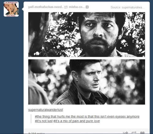 lalala53:  My favorite posts about Dean and Cas Part two [x] 