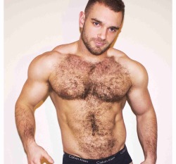 Hung Muscled Men, Hairy And Trimmed, Delicious!