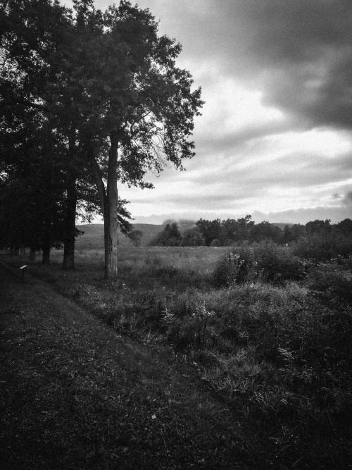 Bad Iphone Photos While I Wait For The Film Ones
