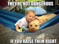 captawesomesauce:  I dunno… I still think little kids are evil and dangerous no matter how you raise them. Frankly, they scare me and I’m not opposed to banning children across the world outright. Maybe we should just stick to cats and dogs after