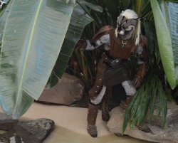 sephygoth:  Khajiit hear you nearby, sometimes before smell you nearby. Shot by starlightslk, sunday at Katsucon 2013 