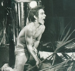 vintagedecades:  Iggy Pop and palm tree