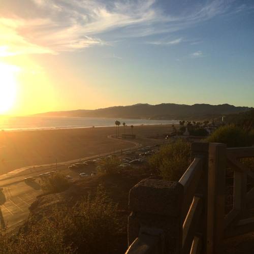 Surfin’ safari #santamonica #losangeles #santamonicabeach