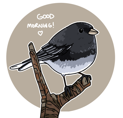 incaseyouart:More morning birbs!! Really enjoying making these~ American Redstart, Snow Bunting, Hor