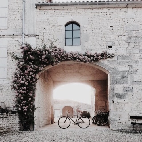 rustofstardust:around the world:  paris, france