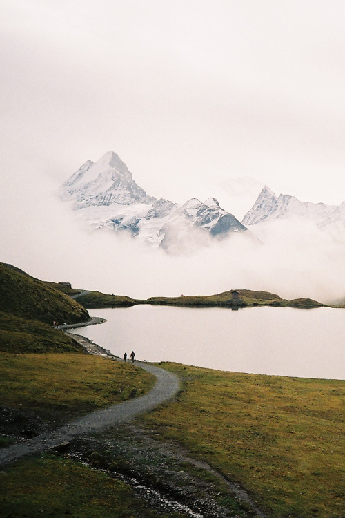  VINTAGE AND NATURE 