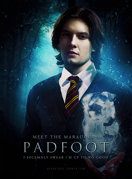 asheathes:Meet the Marauders: Padfoot