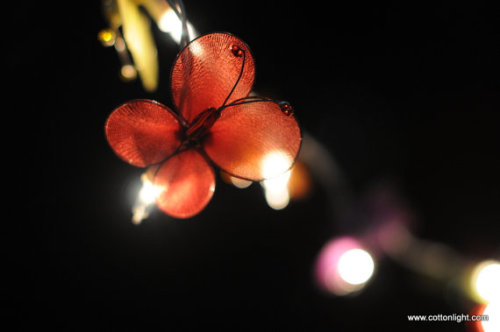 naughtylittlekitten93:  your-kiss-is-torture:  Cottonlight makes handmade lanterns, and I’m sharing this Etsy store out of my infatuation for these lights, not because I’m benefiting from this in any way. Please follow the links provided for more