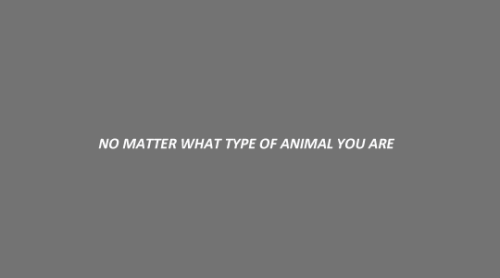 ragingwerewolfdude:merrrida:like nothing you’ve seen be-fur.There was a loot less fur puns then I wa