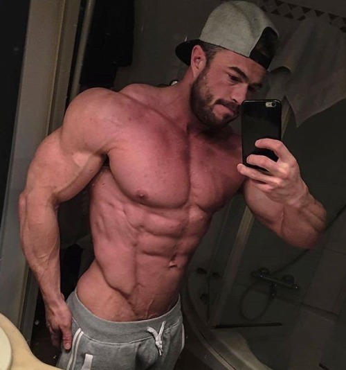 Adonis Files