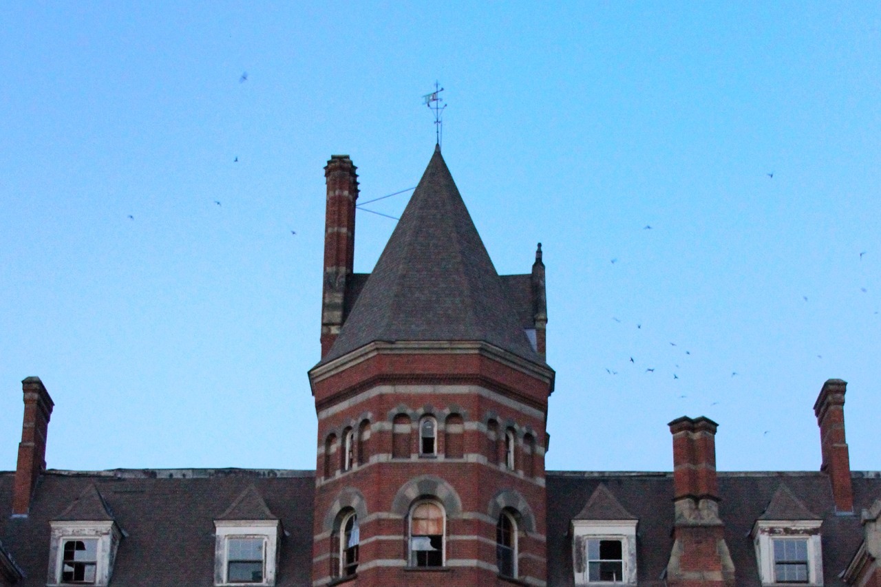 hubey:  Bat city.     www.flickr.com/mikehubey Michael Hubrich  Aug 12, 2012