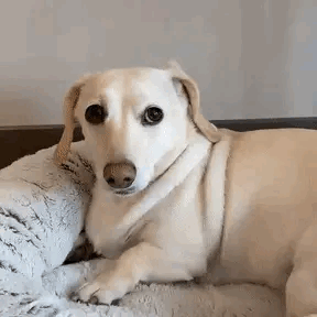 Not Thrilled