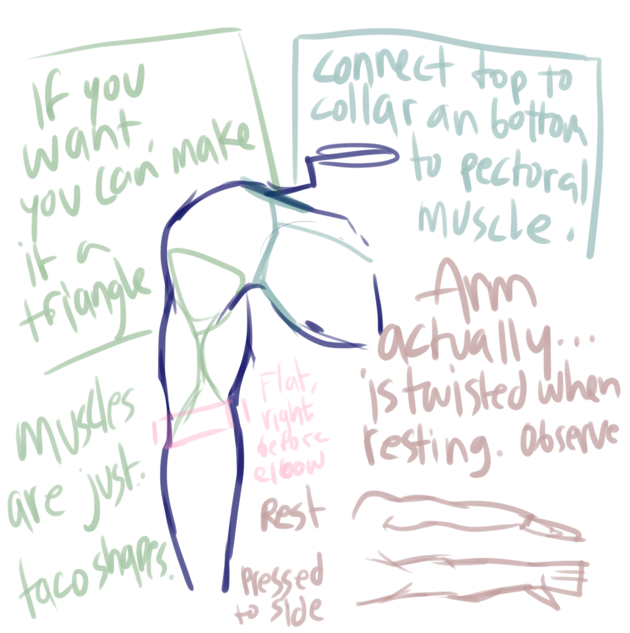 ask-art-student-prussia:its a difficut one and im usually lazy with drawing my arms