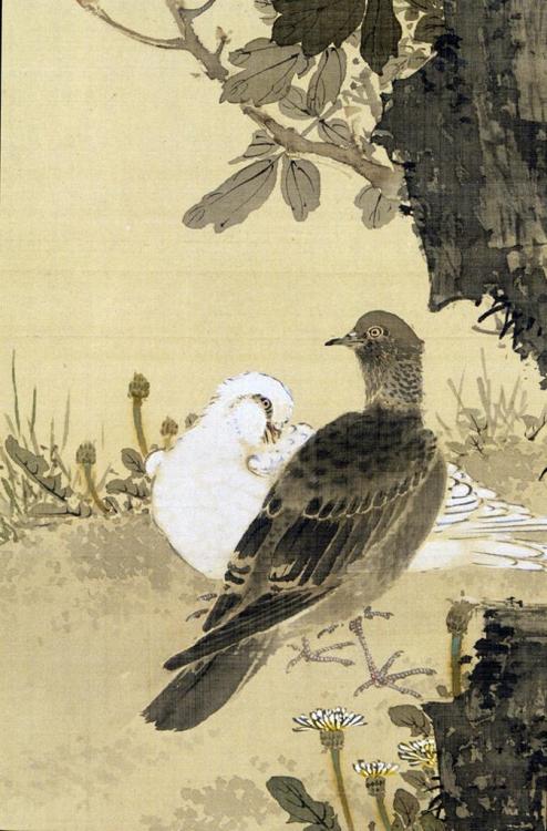 Yamamoto Baiitsu (Japanese; 1783–1856)Doves and PeoniesOne of a pair of hanging scrollsInk and color